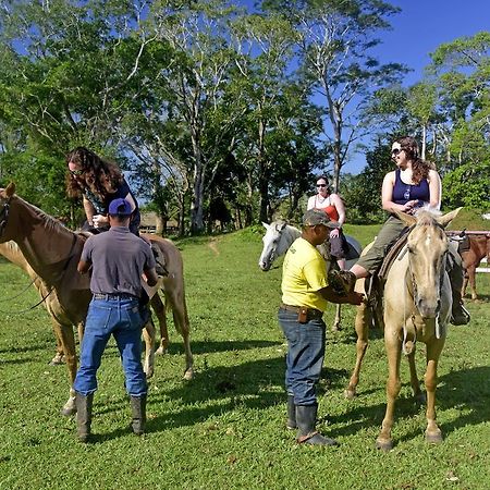 בלמופן Banana Bank Lodge & Jungle Horseback Adventures מראה חיצוני תמונה