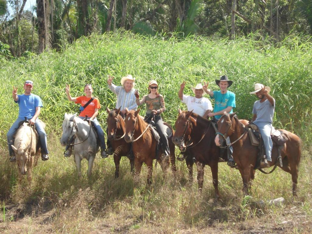 בלמופן Banana Bank Lodge & Jungle Horseback Adventures מראה חיצוני תמונה