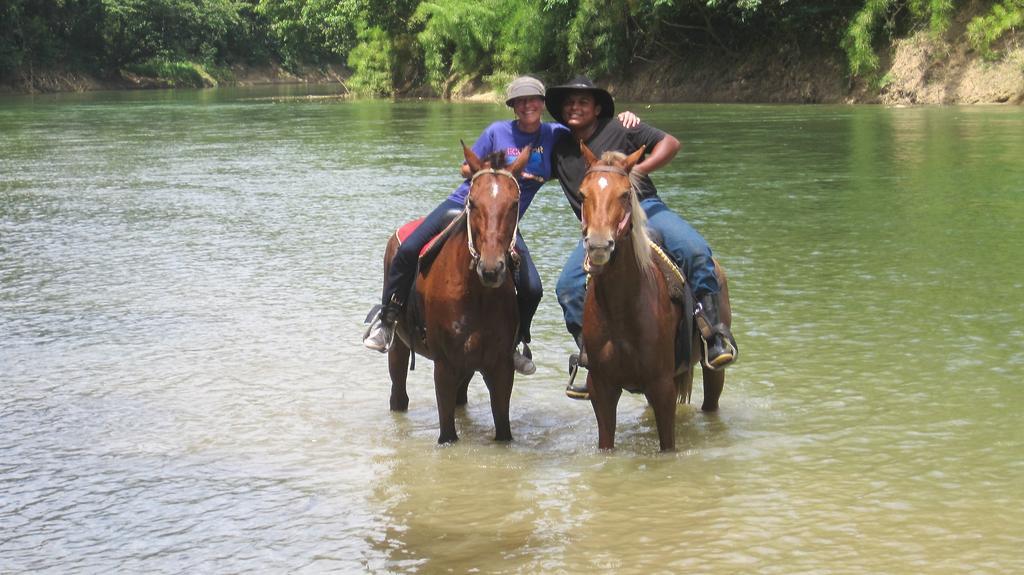 בלמופן Banana Bank Lodge & Jungle Horseback Adventures מראה חיצוני תמונה