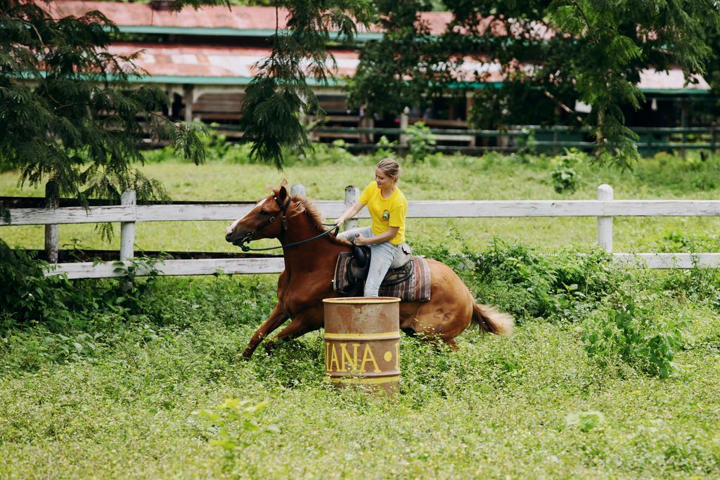 בלמופן Banana Bank Lodge & Jungle Horseback Adventures מראה חיצוני תמונה