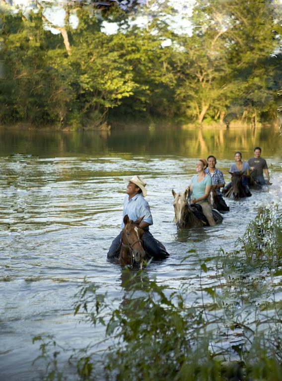 בלמופן Banana Bank Lodge & Jungle Horseback Adventures מראה חיצוני תמונה