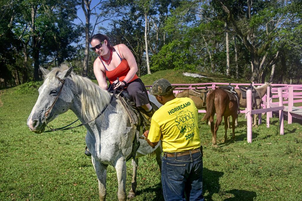 בלמופן Banana Bank Lodge & Jungle Horseback Adventures מראה חיצוני תמונה