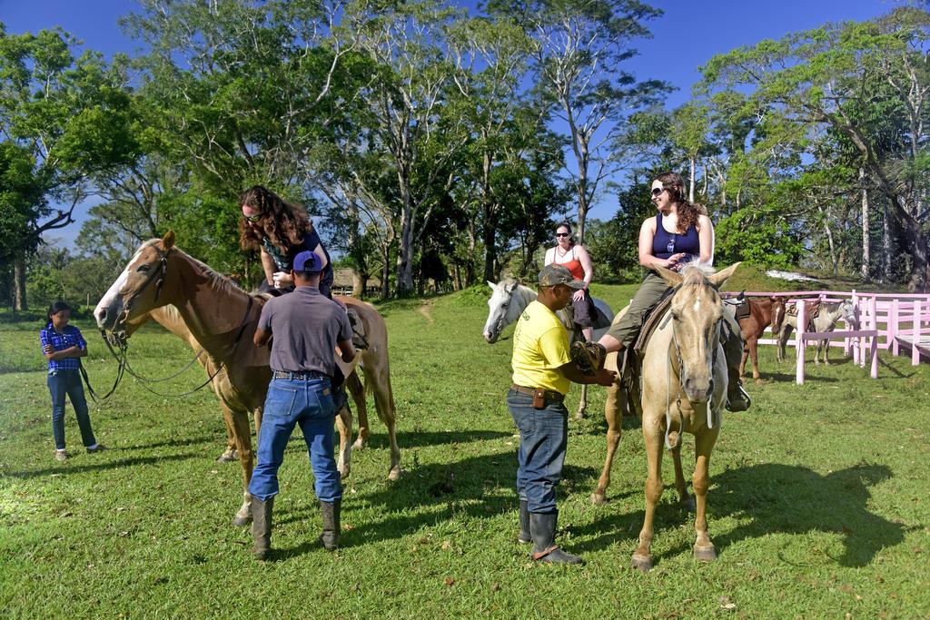 בלמופן Banana Bank Lodge & Jungle Horseback Adventures מראה חיצוני תמונה